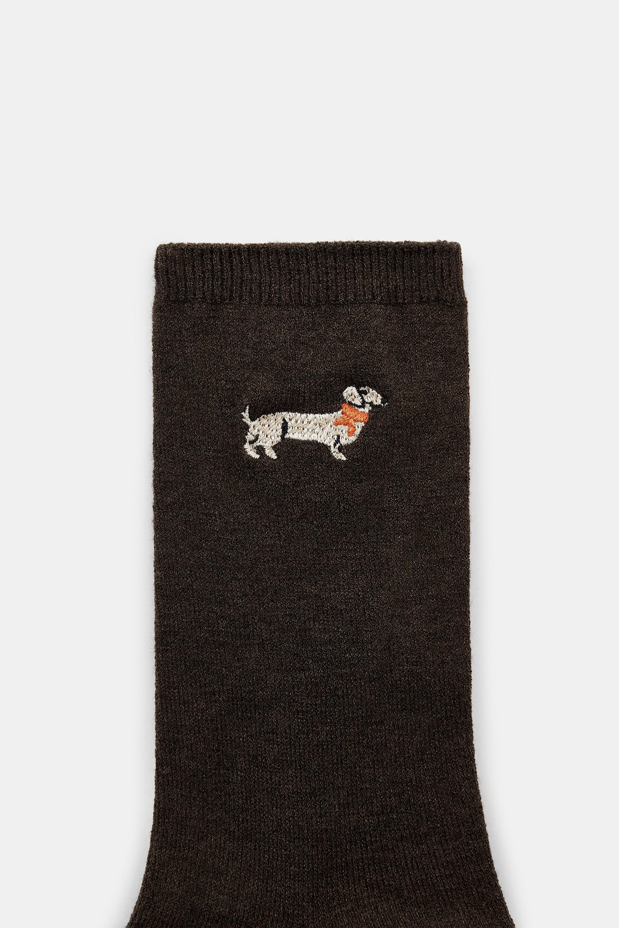 PLAIN DOG SOCKS